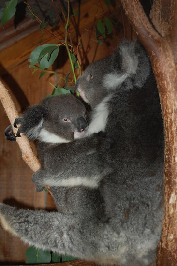 Mama und Kind beim Kuscheln.