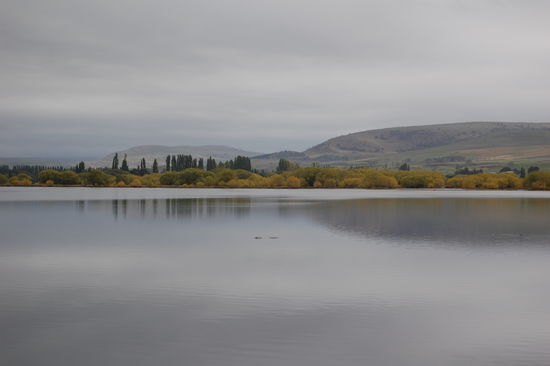 Fahrt durch den Cradle Moutain Nationalpark, sehr bewoelkt.