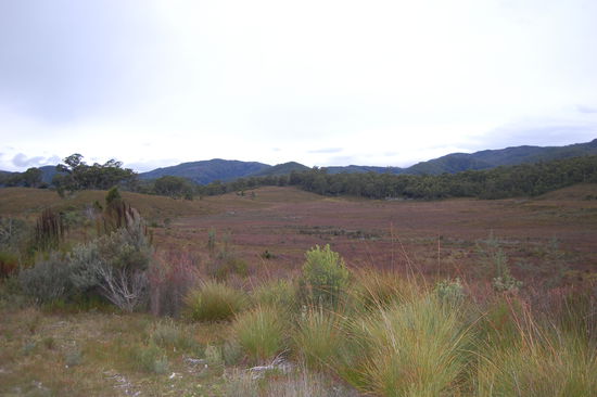 Doch schon bald klart es auf.