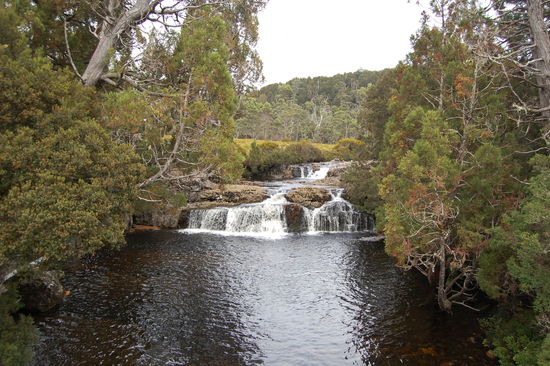 Wir machen einen kleinen Walk, welcher an kleinen Wasserfaellen...