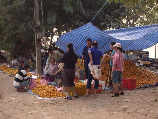 Mandarinen zu verkaufen