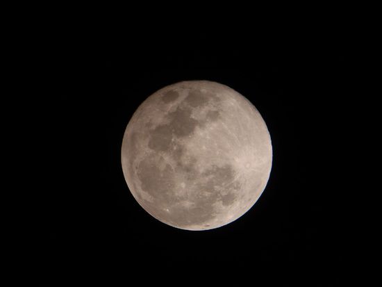 Haben auch den Mond aufgehen sehen. Ein tolles Foto, oder?