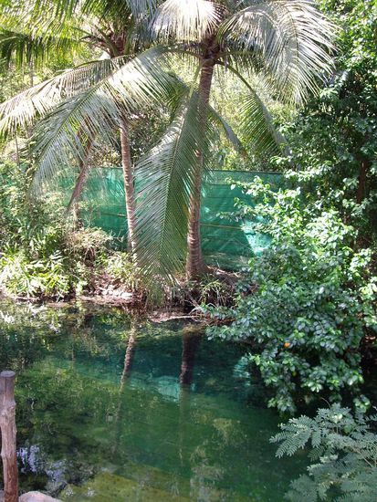 Die Hot Spring der Maedels...