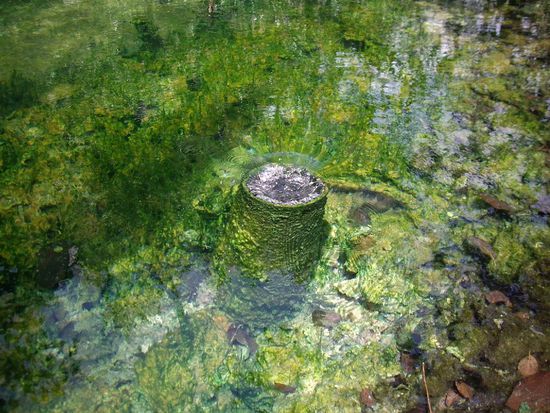 ...und die Schoene der Jungs, wo ich morgens immer gesessen hab.