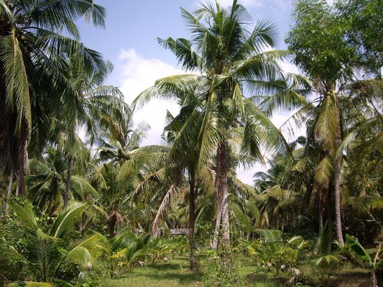 Meine Aussicht beim "Naturmeditieren"
