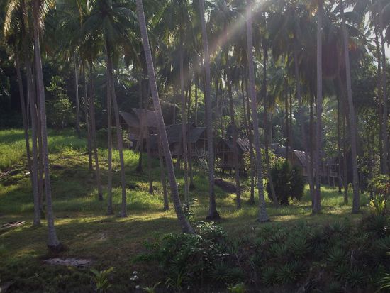 Konnte mich nicht satt sehen.