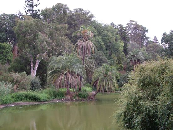 Butanischer Garten