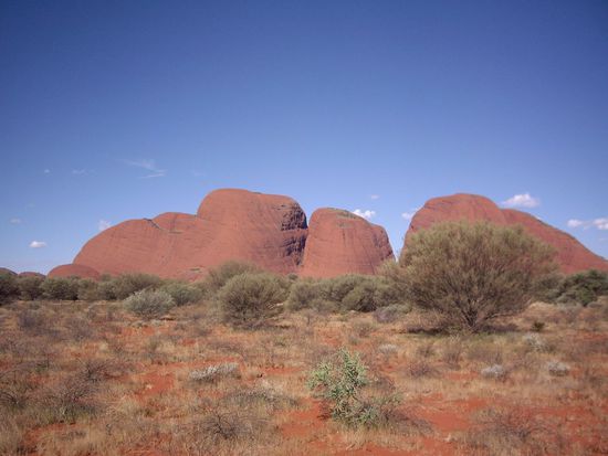 ...und noch mal naeher