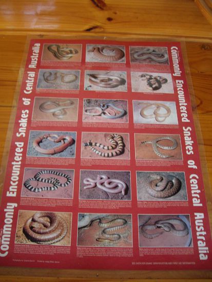 Nette kleine Tierchen