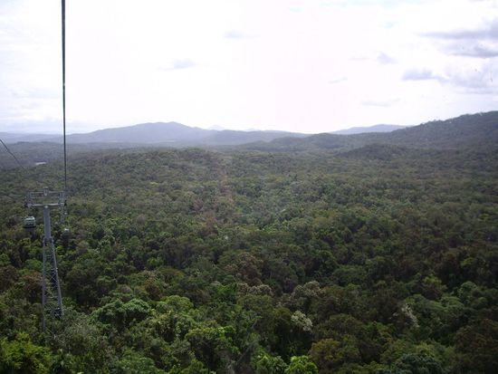 ...und dann mit dem Skyrail wieder runter