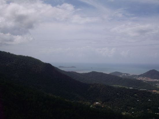 ...und nochmal Riff trifft Regenwald