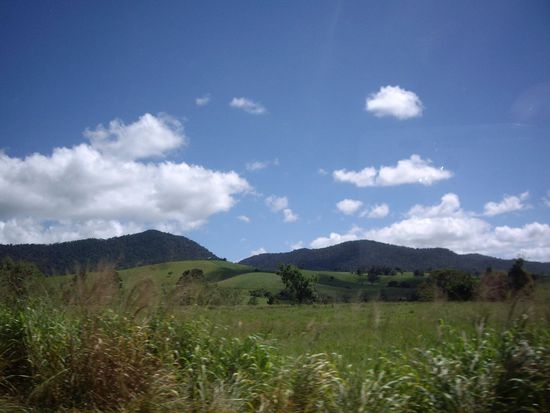 Hab nur dein Haus nicht gefunden, Martin 