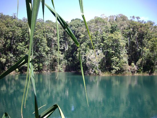 Mit kleinen lustigen Schildkroeten drinnen