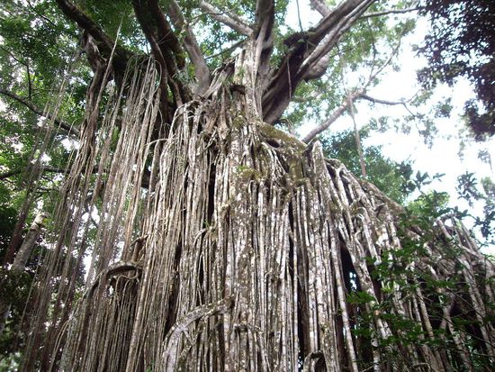 Komisch, passt irgendwie nicht auf's Foto. Hat auch schon ein paar hundert Jahre auf'm Buckel