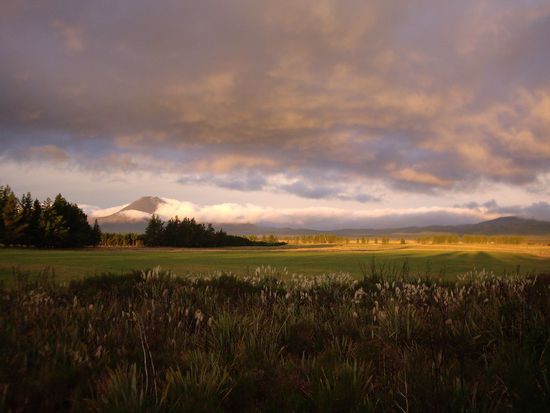 So hat er sich direkt am Anfang praesentiert - tolle Abendstimmung!