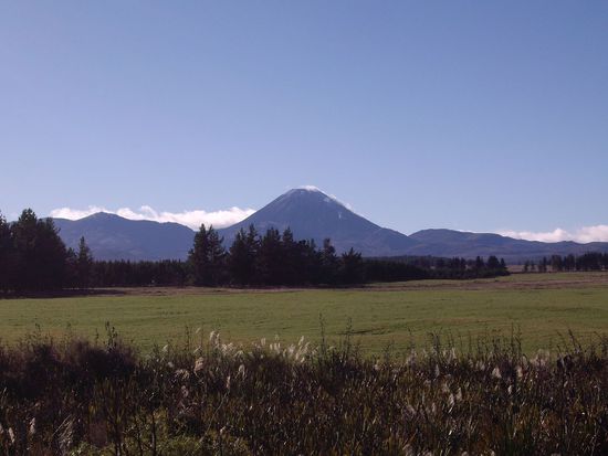 Also rauf da - 1900 m