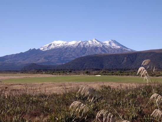 Der Nachbar (weiss gar nicht wie der heisst  )