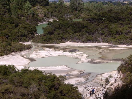 Primerose Terraces, die groessten Neuseelands