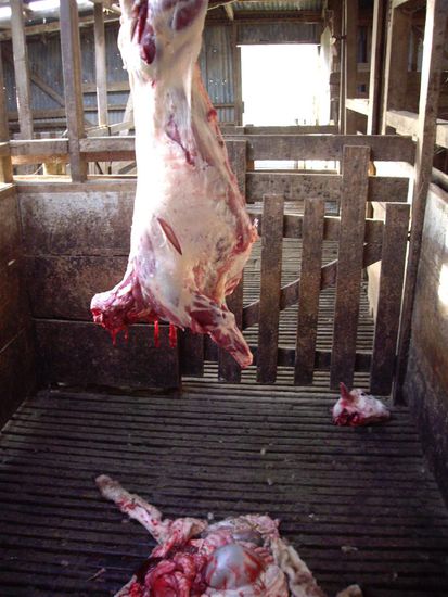 Tja, und das gibts dann wohl naechsten Sonntag 