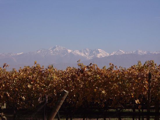 Wie man sieht ist auch hier Smog, aber schon wesentlich beeindruckender als Santiago.