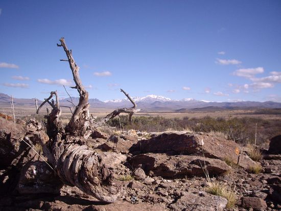 Dann hab ich noch eine tolle Wurzel gefunden, die jetzt als Geschenk in der Eco Lodge liegt
