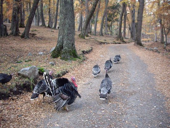 Das sind dann die einzigen, die einem so entgegen kommen