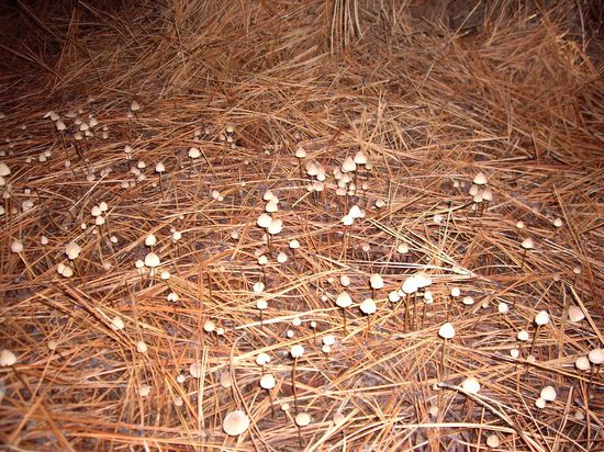 Echt schön, aber auch scary...