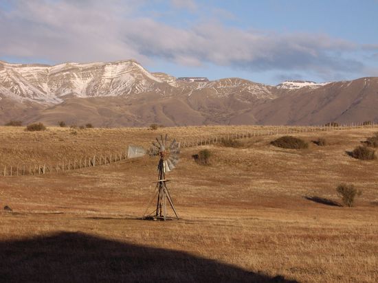Auch ein typisches Bild für Australien (allerdings ohne schneebedeckte Berge im Hintergrund, haha)