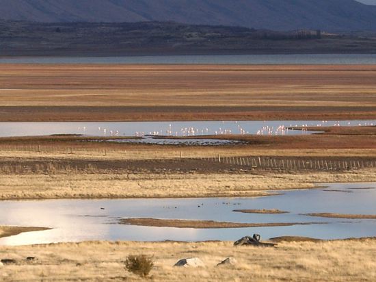 Auf dem Rückweg gabs noch Flamingos