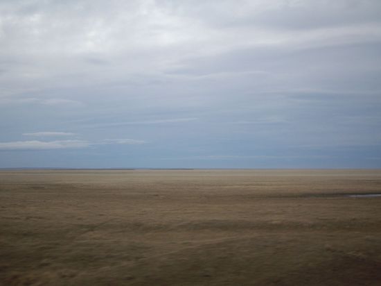 Weitere 12 h (incl. 4x Grenze, da man Chile kreuzt, 18 h) im Bus sitzen und das NICHTS angucken und sich über die Guanacos (Lamas) freuen