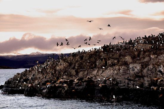 ...und das wohnt hier so. Danke, Norma, für das Foto (ich hatte vergessen meinen Akku aufzuladen, ist mir auch noch nie passiert)