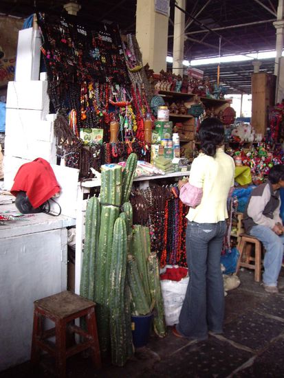 Und wenn es einem gerade nach halluzinogenen San Pedro-Kaktus gelüstet, gibt´s auch den hier zu kaufen