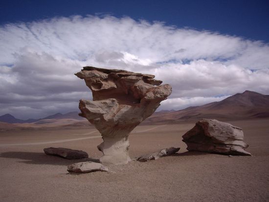 Der berühmte Árbol de Piedra. Auch so ein Wind hier, dass ich mal wieder einen Lachanfall bekommen habe. Aus dem Auto raus RENNEN, Foto machen und so schnell wie möglich zurück