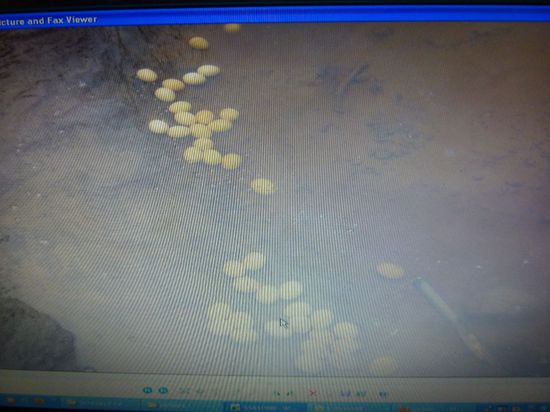 Ein Foto, was er mir gezeigt hat, war, wie sie Eier im heissen Fluss kochen.