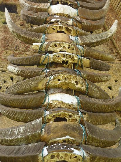 Hier kann man schon erkennen, wie reich jemand ist, wie viele Bueffel geschlachtet wurden.