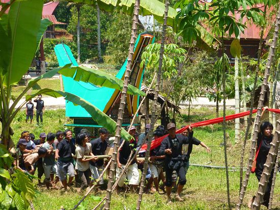 Hier bringen sie huepfender Weise die Leiche zur Zeremonie, die vorher 2.5 Monate zu Hause gelegen hat. So lange der Tote mit Formalin konserviert zu Hause liegt, ist er eigentlich noch lebendig, weil er dann noch nicht in die naechste Welt uebergewechselt ist.