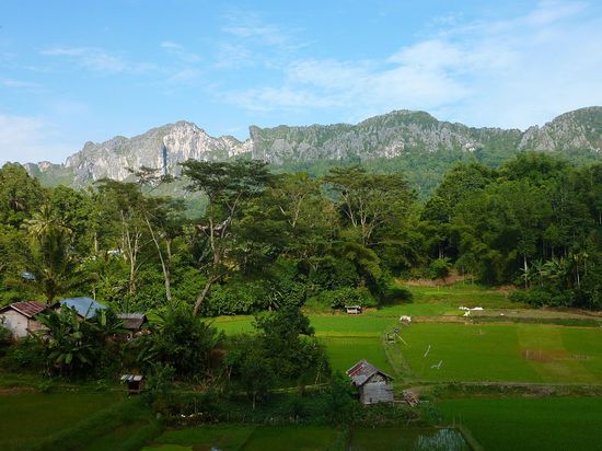 So schön ist hier in Toraja....