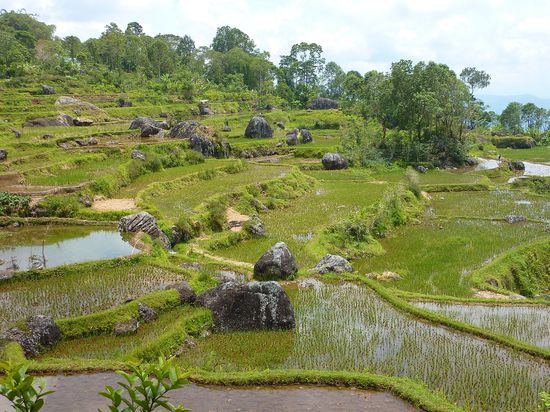 Auch wenn dieses Foto schon schoen ist, die Realität ist noch viel, viel toller.