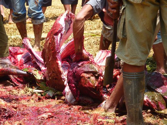 Kurze Zeit spaeter sah er dann so aus