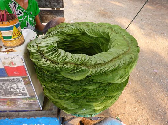 Die Blaetter fuer den Betelnussgenuss sind schon fast ein Kunstwerk