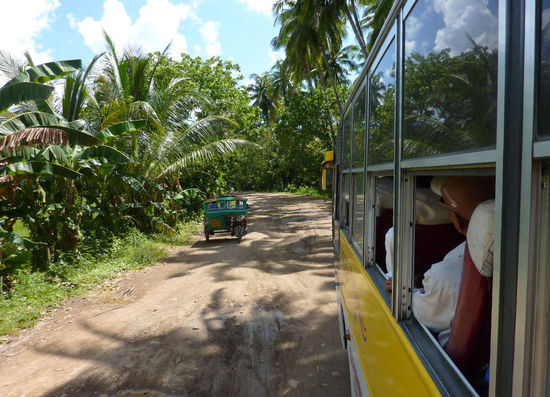 Auf dem Rueckweg....