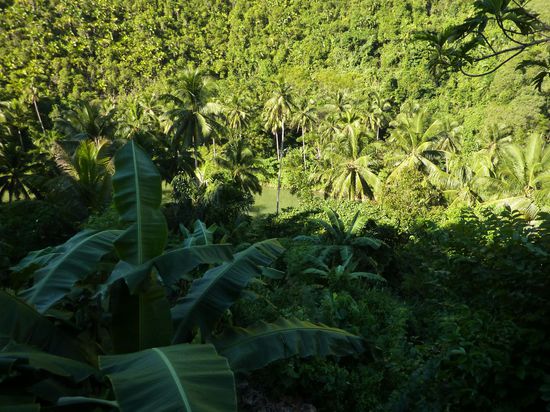 Da unten am Fluss wohn ich