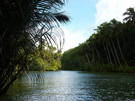 ....und das ist der Swimming Pool