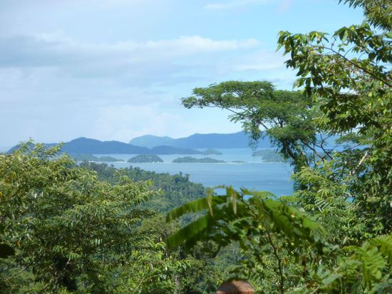 Die Fahrt durch den Dschungel runter nach Port Barton hat einige sehenswerte Abschnitte.