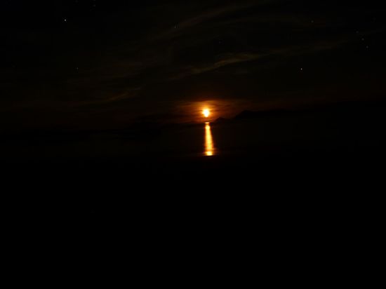 Gerade aus dem Meer geschluepft. Mit Sternenhimmel. Der Hammer!!!!