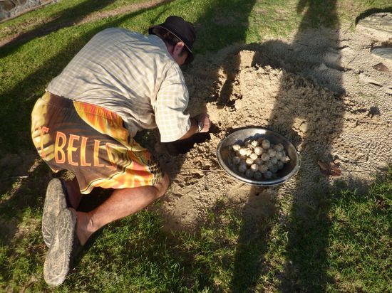 Und am naechsten Morgen hat auch noch eine Schildkroete Eier gelegt, die hier gerade umgebettet werden, da sie sonst von den Gezeiten weggespuelt wuerden. Ein magisches Fleckchen Erde.