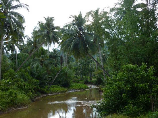 Hier bin ich dann mal ein bisschen die Countryside erkunden gegangen.
