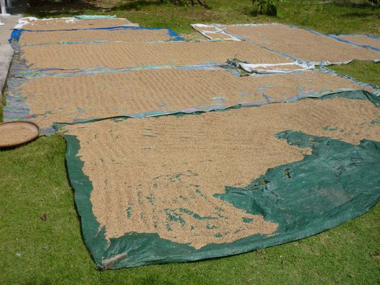 Typisches Bild fuer Asien