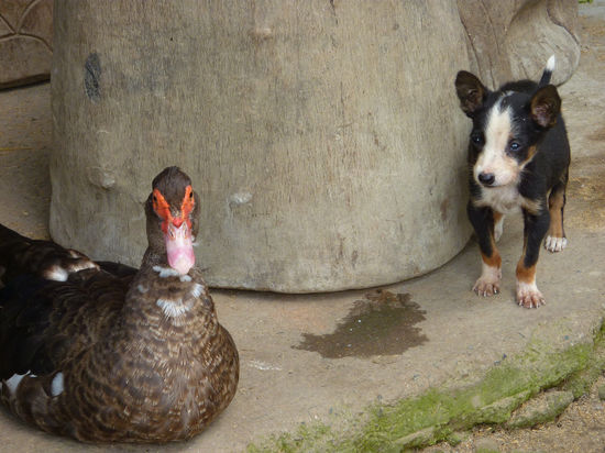 Ich glaub, der Kleene ist adoptiert