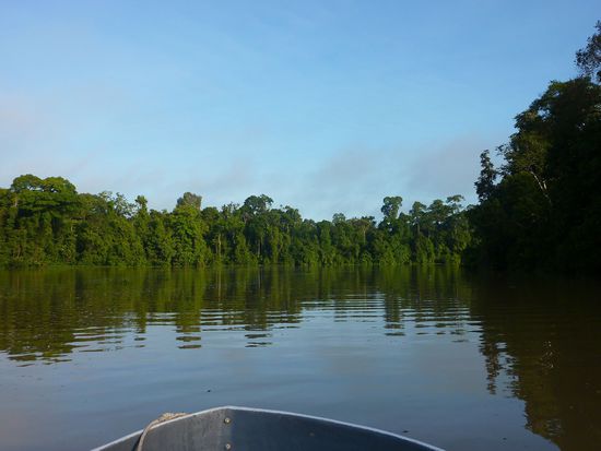 Kinabatangan River